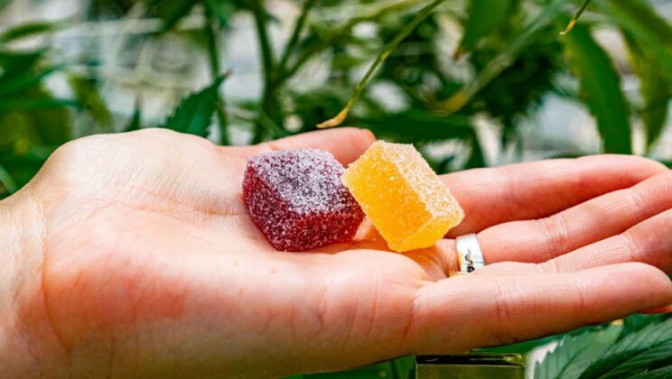 Planta CBD Gummies – CBD Hemp for Natural Relief, Sleep & Everyday Wellness!