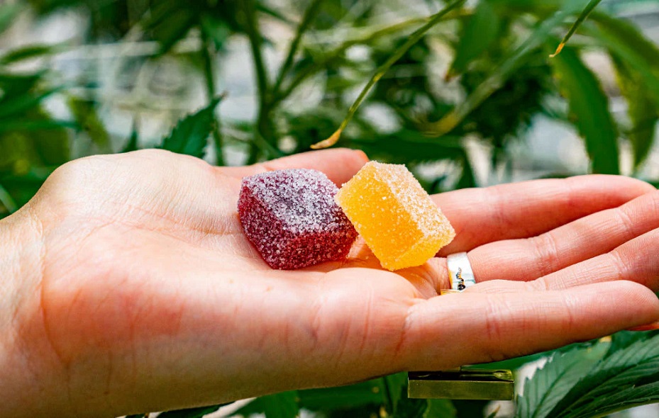 Planta CBD Gummies