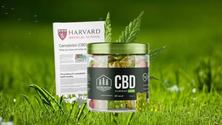 EverGreen CBD Gummies (Canada) – Anxiety Relief Cannabis or Scam? Read Reviews