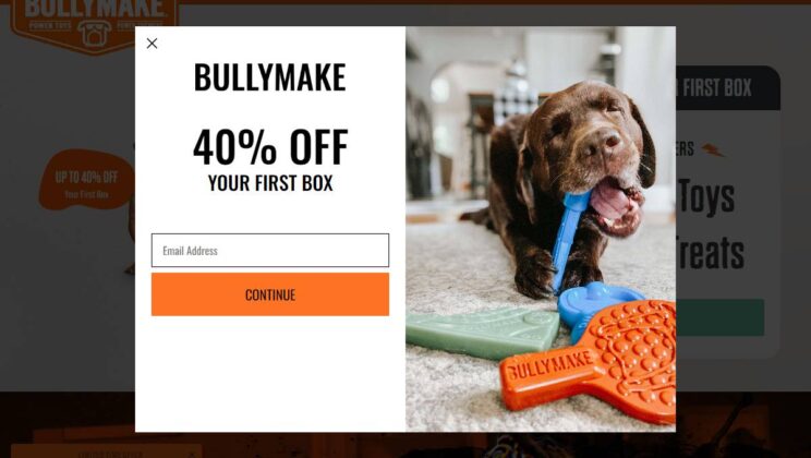 Bullymake Reviews – The Ultimate Guide to Bullymake Boxes for Heavy Chewers!