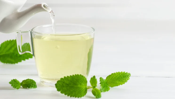 Lemon Balm Tea Weight Loss – The Benefits of Lemon Balm Tea For Weight Loss!