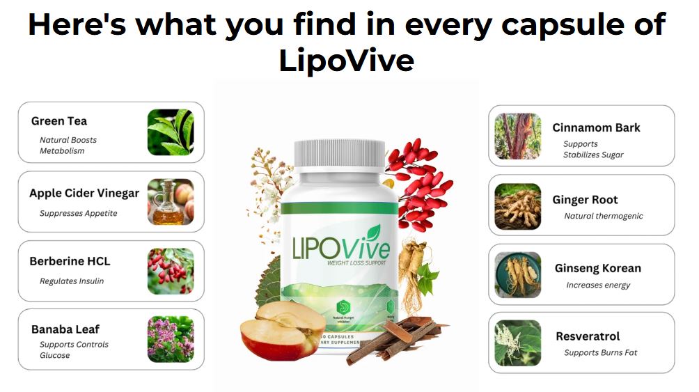 LipoVive Ingredients